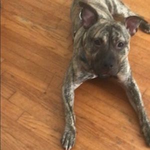 Meet your Posher, Tony